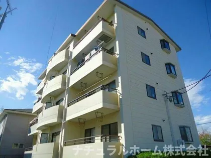 ウイングコートの画像