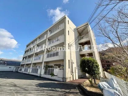 セゾン八尾東の画像