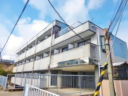 レイナ錦織の画像