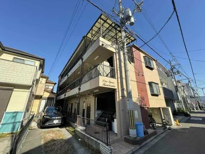 プリマベラカクノの画像