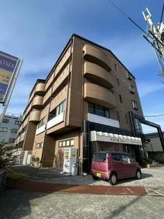 ハイネスピヴァットの画像