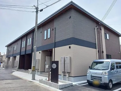 パイン フォレストの画像