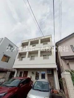 ホワイトビラハヤシの画像