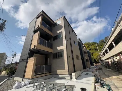 D PORTA VIOLETの画像