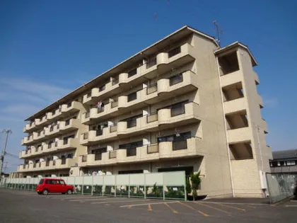 アコーシャル ドゥのとがわの画像