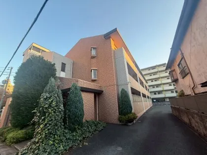 ルシェロノルテの画像