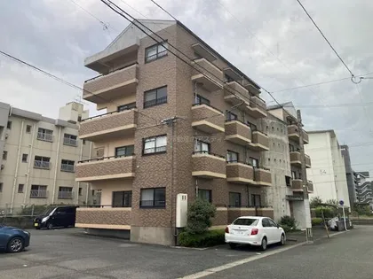 エクセル徳力の画像