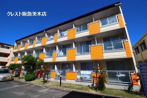 ラフィーネ筒井の画像