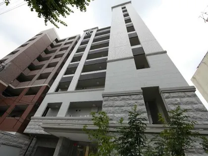 シグナスの画像