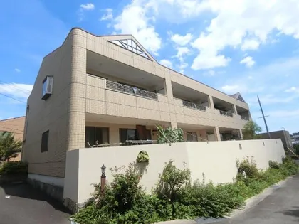 ティエドールの画像