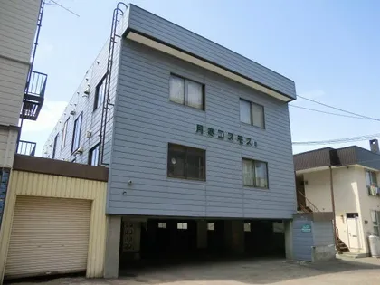 月寒コスモスBの画像