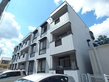 トリヴァンベールタナカの画像