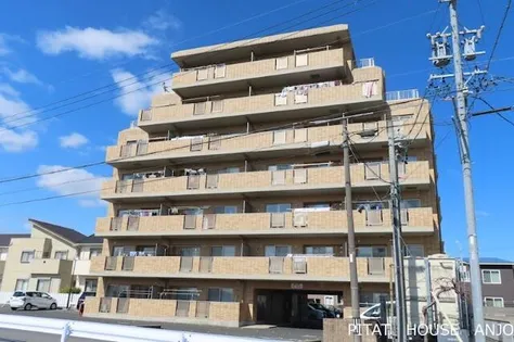 サンコートNIHONGIの画像