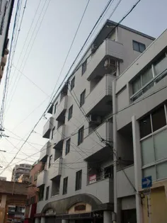 グレースサカイの画像