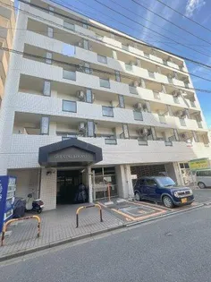 オリエンタル黄金の画像