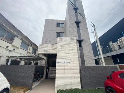 SELVA花水木の画像