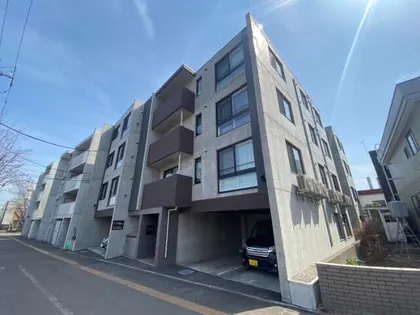 PINO KITAMARUYAMAの画像