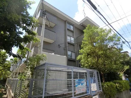 ファミールシーダの画像