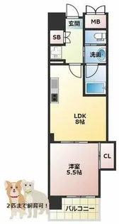 マスターズレジデンス道頓堀Ⅲ【5階】の間取り