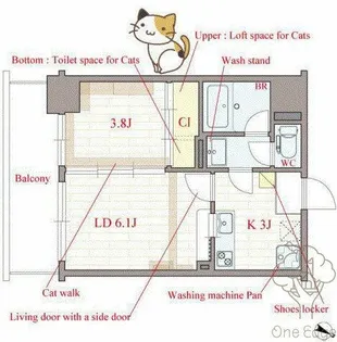Felis塚本【3階】の間取り