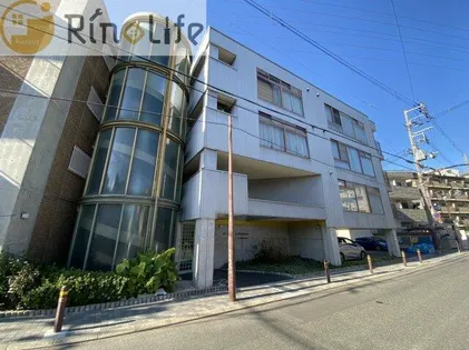 ルデラ若草の画像