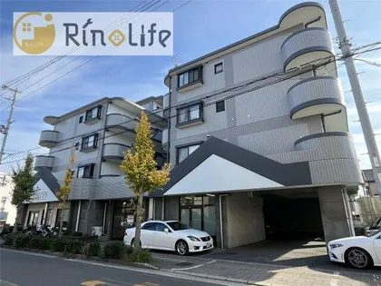 メゾンカリフの画像