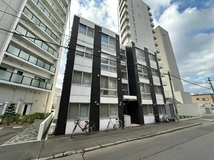 ノーチェの画像