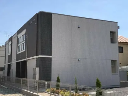 コンソラータの画像