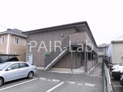 ダンディライオンの画像