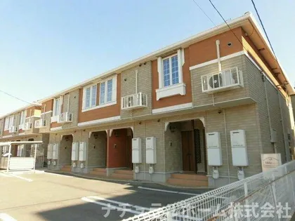 シャインの画像