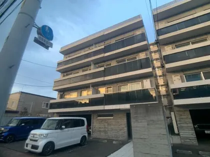 グランドラインの画像