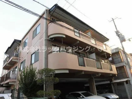 アマポーラの画像