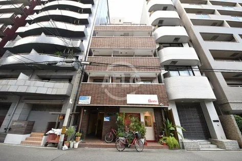 ジュネスアマリの画像