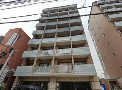 ダイナコートエスタディオサラの画像