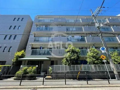 アドニスの画像