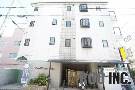 カサグランデモモの画像