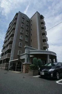 ソル レヴェンテの画像