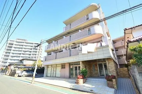 サンセール クミの画像