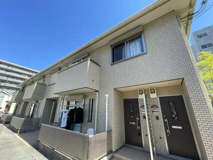 セイカーサの画像