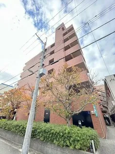 大阪府大阪市淀川区野中南2丁目【マンション】の外観