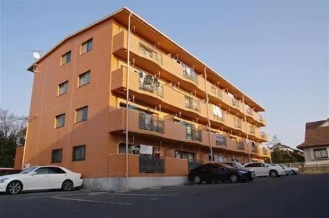 サンアルカディアSの画像