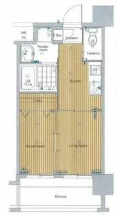 ネストピア平尾駅前【12階】の間取り