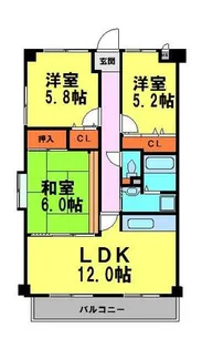 ソレアードうねの【501号室】の間取り