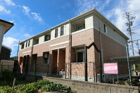 ひまわりの画像