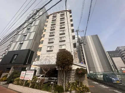 ホワイトハイツカドタの画像