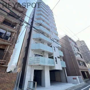 THE PLATINUMの画像