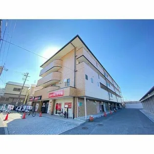 大阪府堺市東区日置荘西町3丁【マンション】の外観