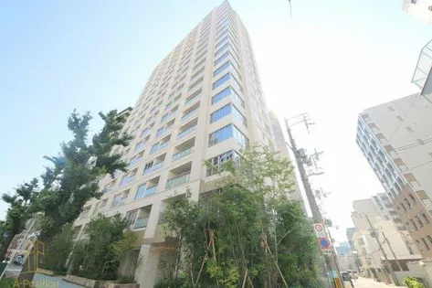 グランドメゾン北堀江レジデンス【10階】の外観