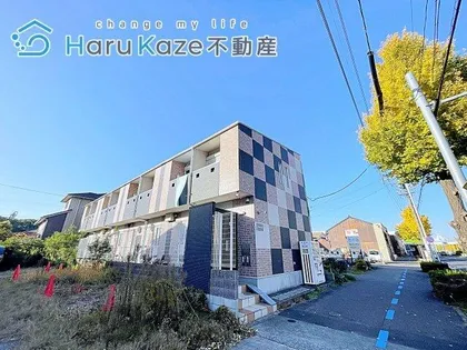 LIBERTY HILLの画像