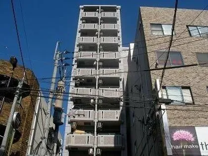 パインストン今泉の画像